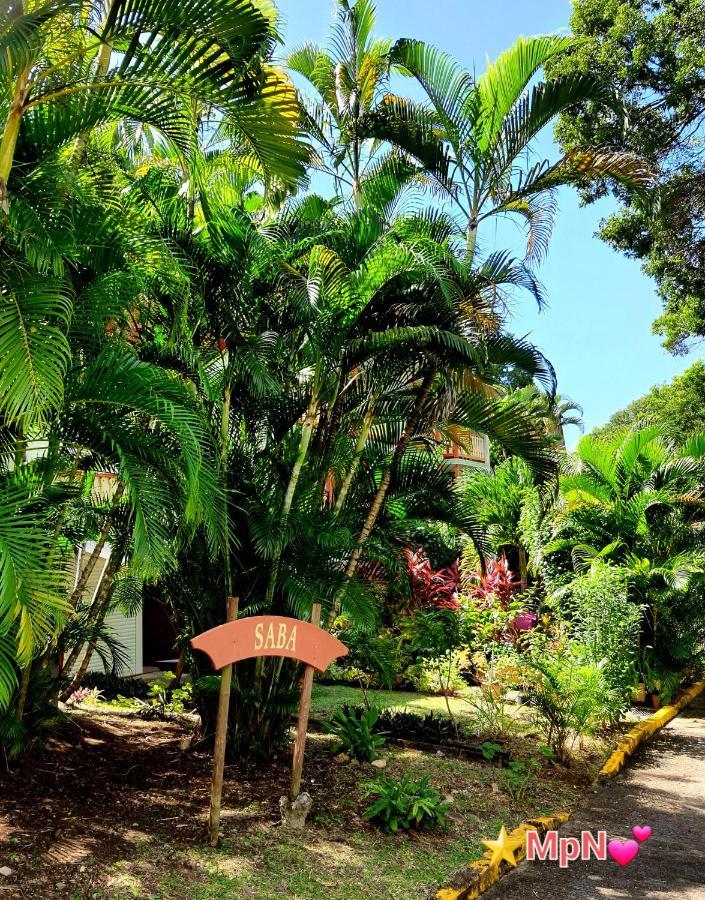 Mon Pti Nid Ideal Couple Tout Confort Sainte-Anne Exterior foto